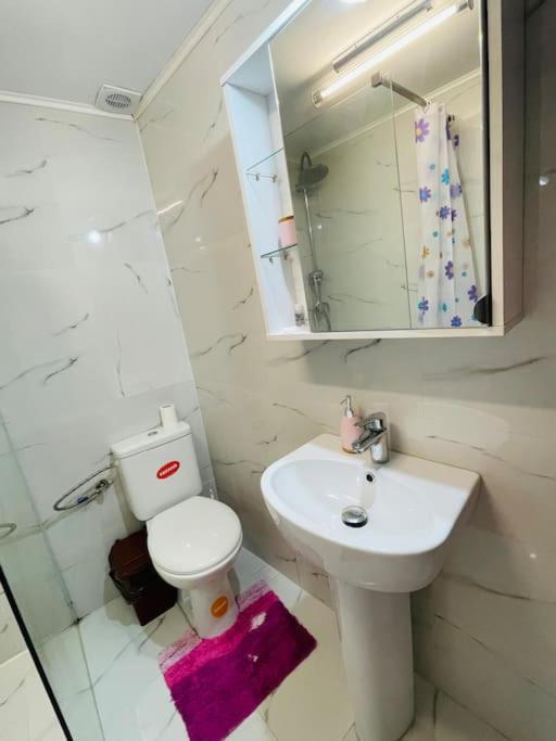 Lavender Luxury Apartment Oradea Extérieur photo